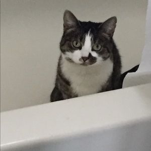 Meet your Posher, Marissa